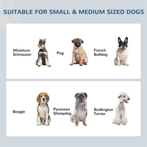 Elevated Pet Feeder with 2 Stainless Steel Bowls – Raised Dog & Cat Feeding Station