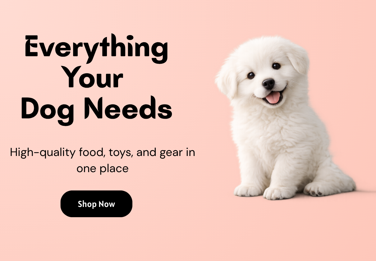 Safe & Easy Walks (2)