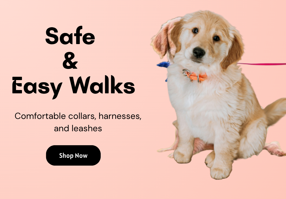 Safe & Easy Walks