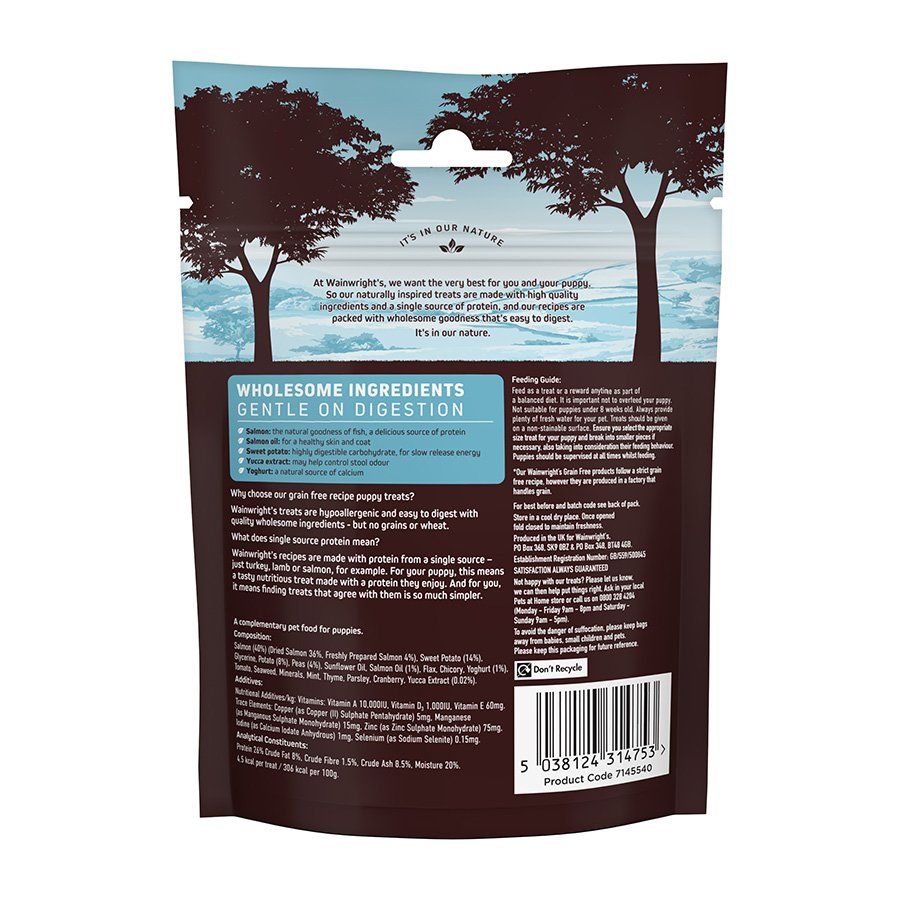 Salmon dog food