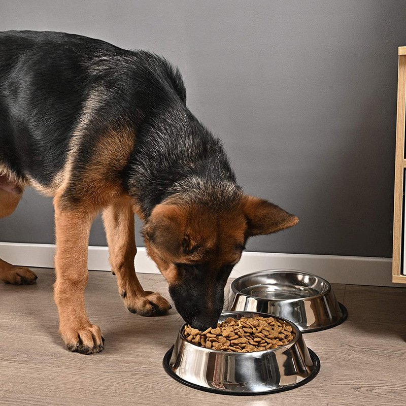 Stainless Steel Dog & Cat Feeding Bowl – Non-Slip Pet Food & Water Bowl 18cm
