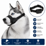 Anti bark collars