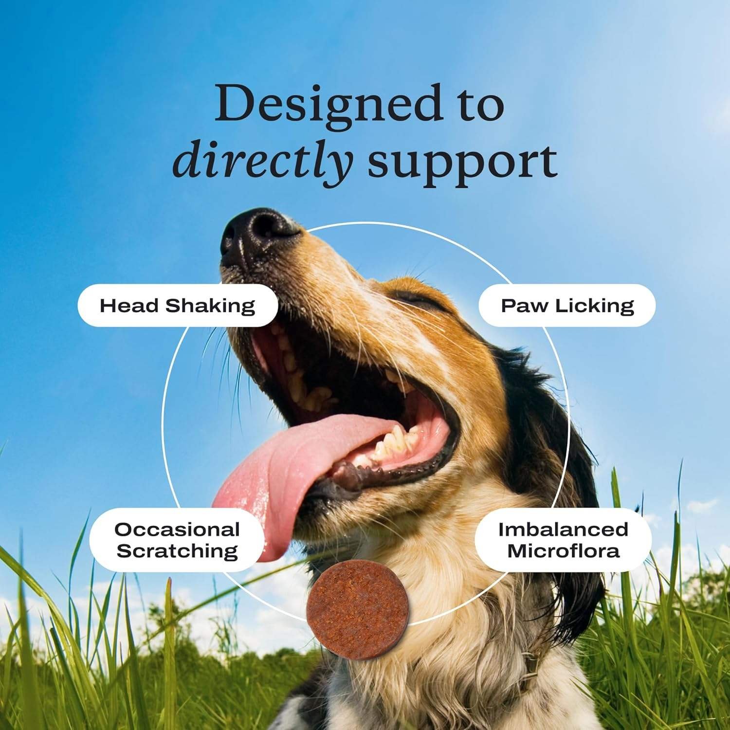 Allergy Immune Probiotics Dogs Supports Allergies Gut Digestive Health Immune Health Nut Free Pork Flavor 30 Soft Chews